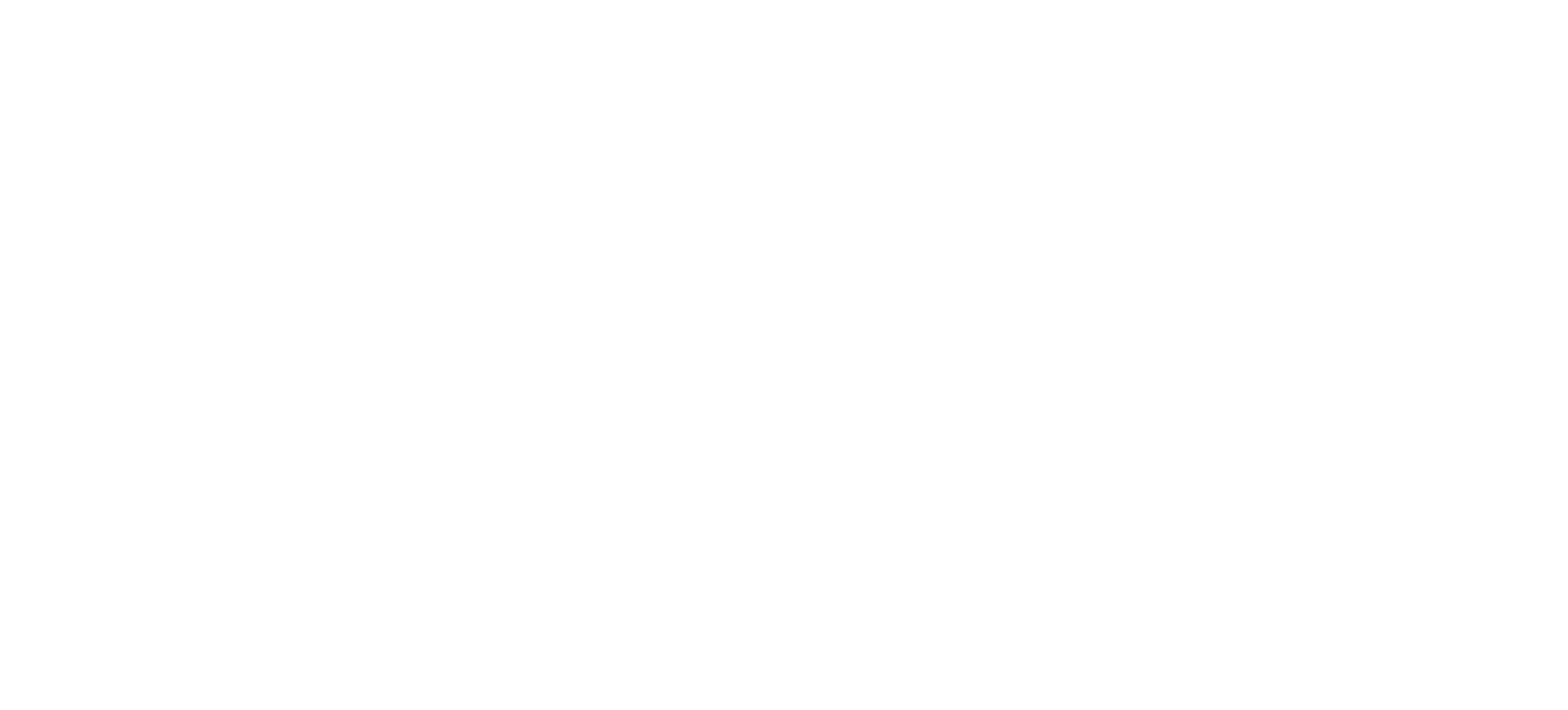 CSN LOGO
